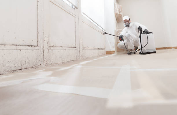 24/7 Emergency Crawl Space Mold Remediation experts in Jackson, MI