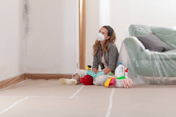 Reliable Crawl Space Mold Remediation contractor in Jackson, MI by 24 Hour Mold Removal